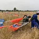 L’aide alimentaire en nature - crédits : Tony Karumba/ AFP