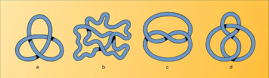 Déformation des nœuds - crédits : Encyclopædia Universalis France