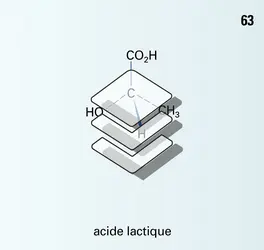 Réactions 63 à 83 - crédits : Encyclopædia Universalis France