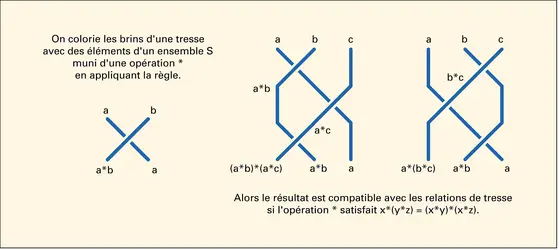 Tresses et autodistributivité - crédits : Encyclopædia Universalis France