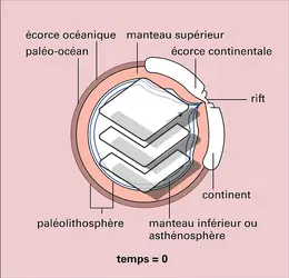 Néolithosphère et paléolithosphère - crédits : Encyclopædia Universalis France