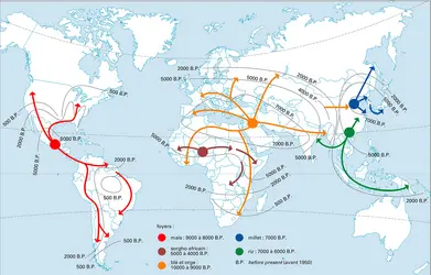 Céréales : foyers et diffusion historique - crédits : Encyclopædia Universalis France