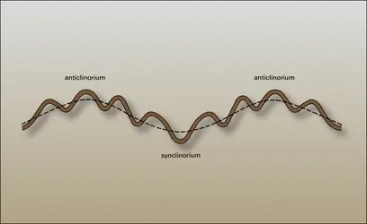 Anticlinoriums et synclinorium - crédits : Encyclopædia Universalis France