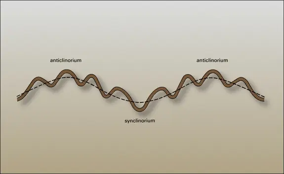 Anticlinoriums et synclinorium