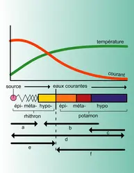 Vitesse du courant et température - crédits : Encyclopædia Universalis France