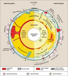 Deux modèles schématiques expliquant la dynamique globale de la Terre - crédits : Encyclopædia Universalis France