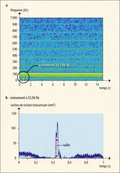 Télédétection du passage d’un insecte volant - crédits : Benoît  K. KOUAKOU  et  al./ Afrique  SCIENCE 12(5), 2016 