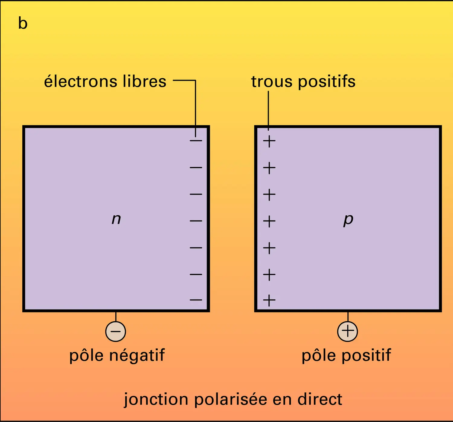 Jonction n-p - vue 2