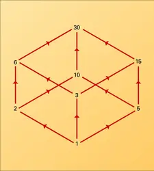 Ensemble ordonné par la relation de division - crédits : Encyclopædia Universalis France