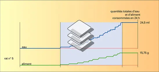 Stimuli internes - crédits : Encyclopædia Universalis France