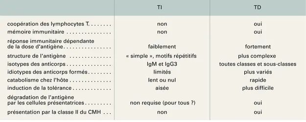 Antigènes TI et TD dans la réponse immunitaire humorale - crédits : Encyclopædia Universalis France