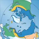 Domaine périglaciaire dans l'hémisphère Nord - crédits : Encyclopædia Universalis France