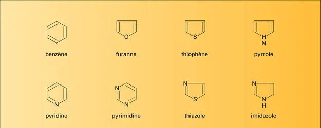 Cycles bio-isostères - crédits : Encyclopædia Universalis France