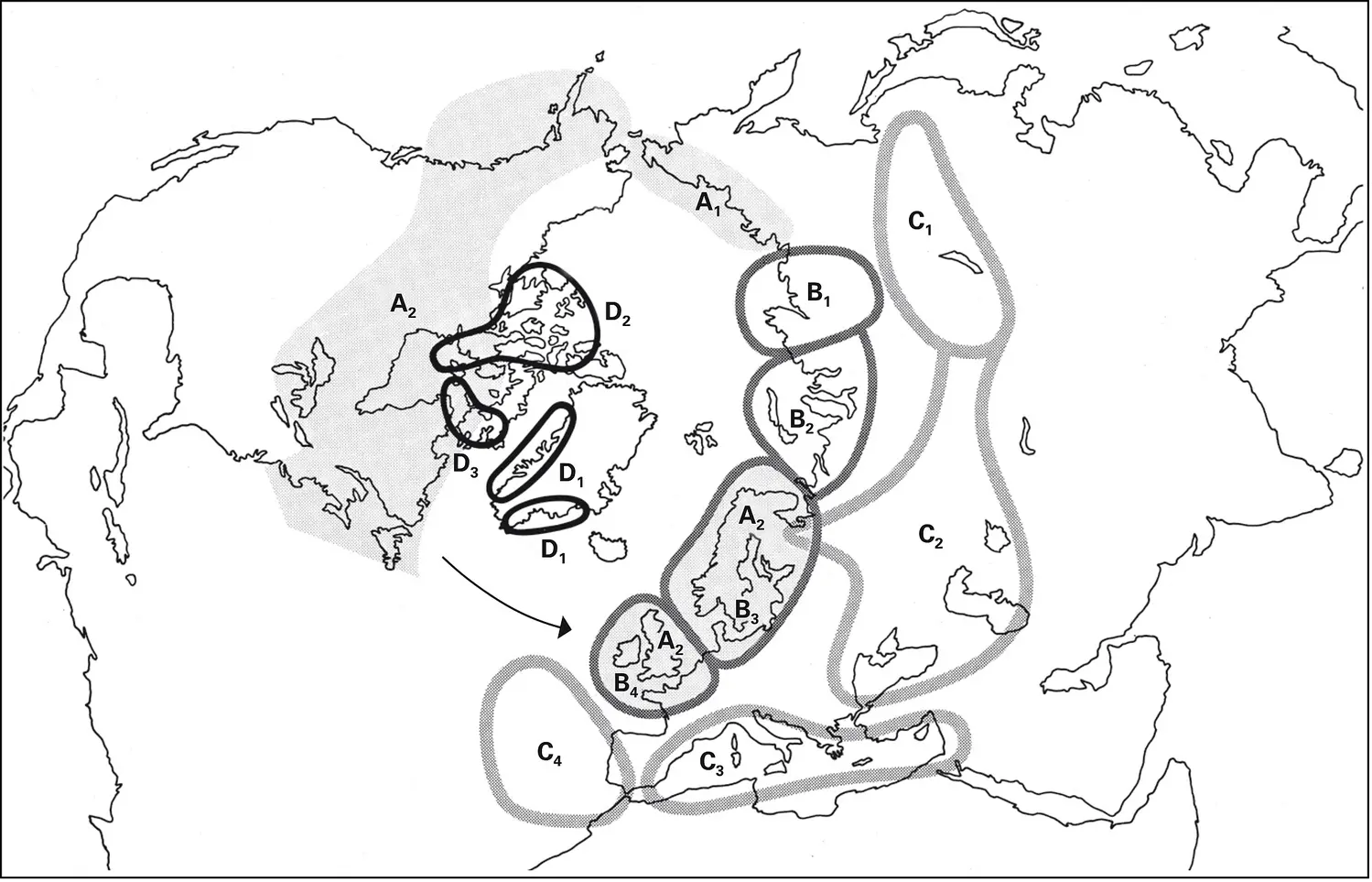 Spéciation périarctique des goélands