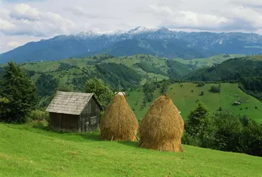Agriculture traditionnelle en Transylvanie (Roumanie) - crédits : Gavriel Jecan/ The Image Bank/ Getty Images