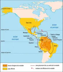 Extension géographique du virus Mayaro - crédits : Encyclopædia Universalis France