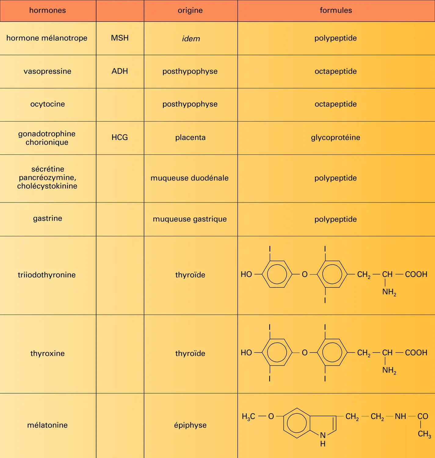 Vertébrés : hormones peptidiques et protidiques - vue 2