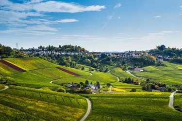 Agriculture périurbaine en Allemagne - crédits : Simon Dux Media/ Shutterstock