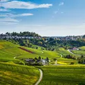 Agriculture périurbaine en Allemagne - crédits : Simon Dux Media/ Shutterstock