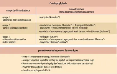 Méthodes de prévention du paludisme - crédits : Encyclopædia Universalis France