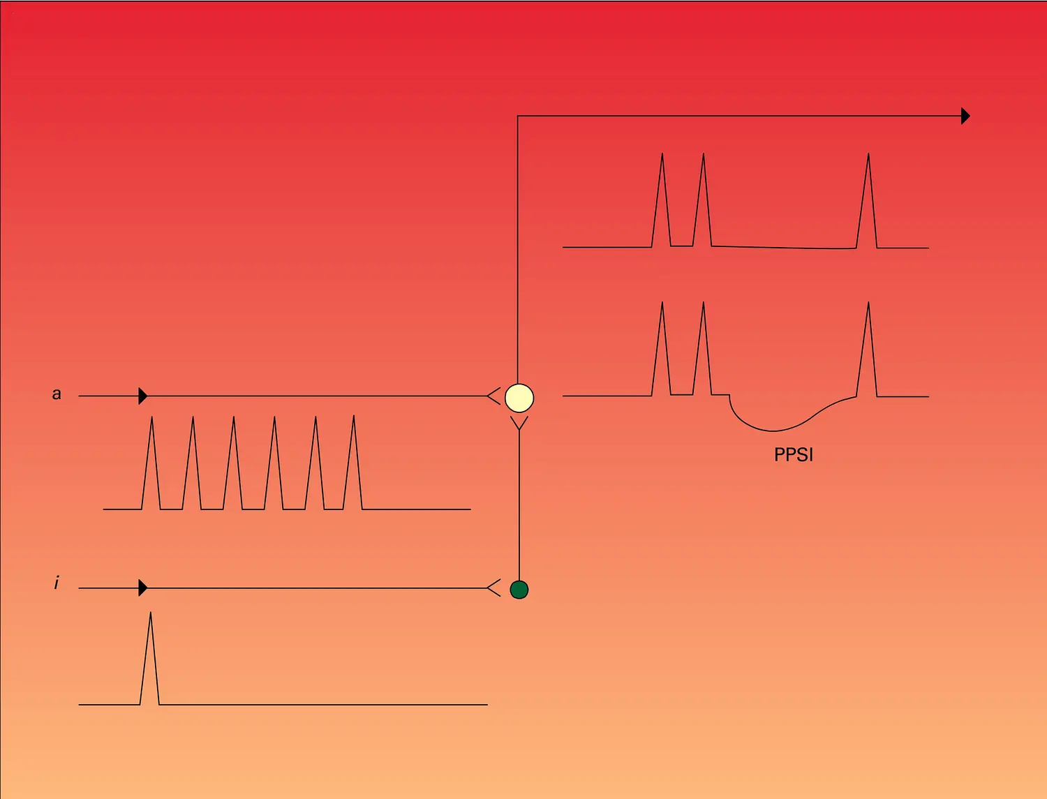 Potentiel postsynaptique d'inhibition