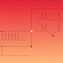 Potentiel postsynaptique d'inhibition - crédits : Encyclopædia Universalis France