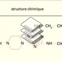 Appareil respiratoire : structure de médicaments - crédits : Encyclopædia Universalis France