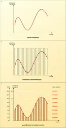 Conversion d'un signal analogique en numérique - crédits : Encyclopædia Universalis France