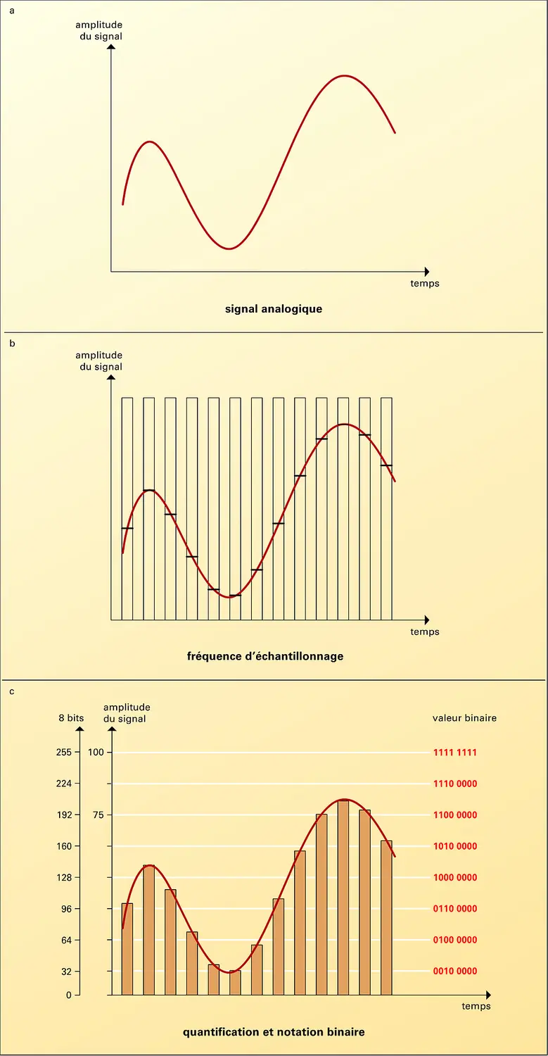 Conversion d'un signal analogique en numérique