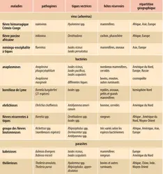 Principales maladies transmises par les tiques - crédits : Encyclopædia Universalis France