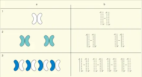 Expérience de Taylor - crédits : Encyclopædia Universalis France