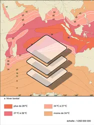 Océan indien : température des eaux de surfaces - crédits : Encyclopædia Universalis France