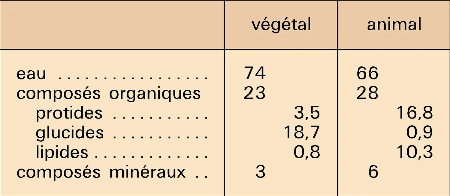 Plante et animal : constituants chimiques des tissus