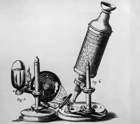 Microscope de Hooke - crédits : Hulton Archive/ Getty Images