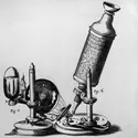 Microscope de Hooke - crédits : Hulton Archive/ Getty Images