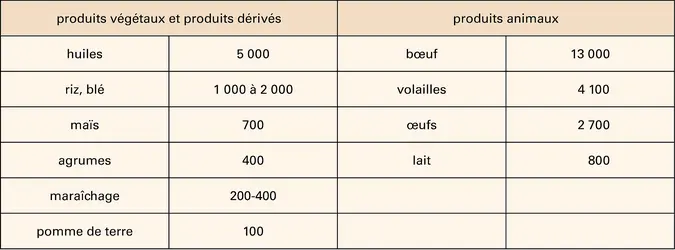 Produits alimentaires de base et consommation d'eau - crédits : Encyclopædia Universalis France