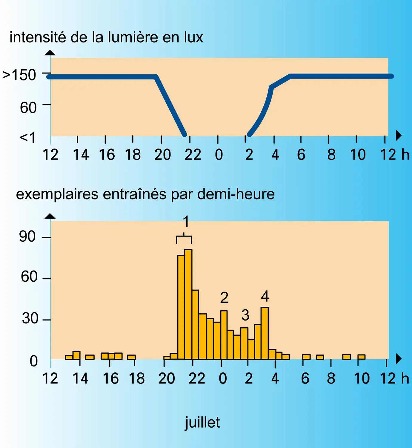 Phénomène de dérive - vue 2