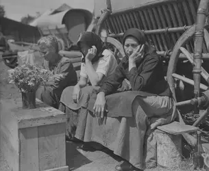 Réfugiés roumains, 1945 - crédits : C P L Louis Kaufman/ Getty Images