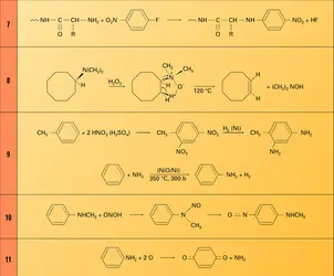 Réactions 7 à 11 - crédits : Encyclopædia Universalis France