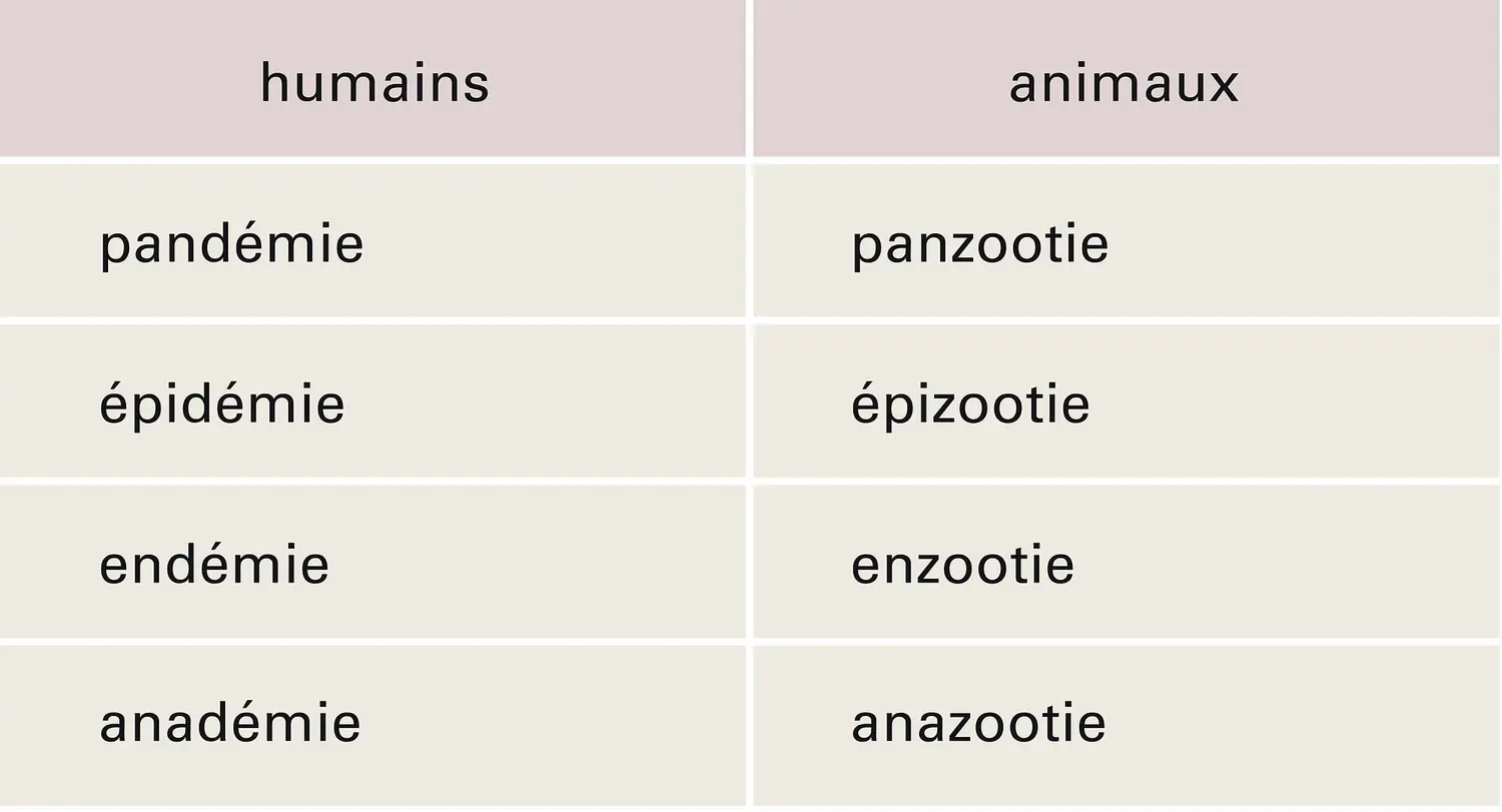 Maladies transmissibles : vocabulaire épidémiologique