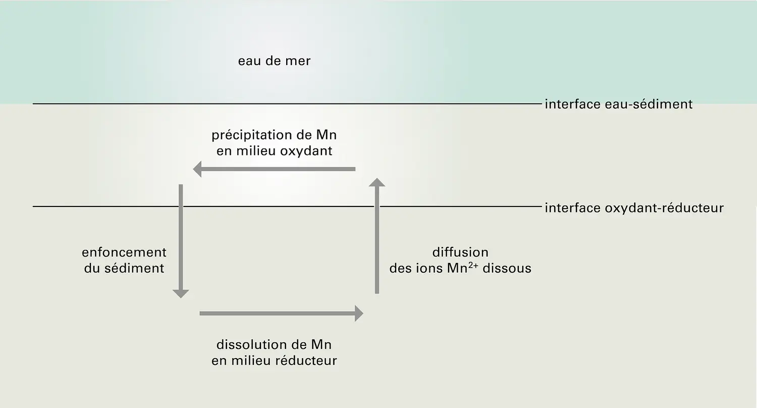 Cycle géochimique en milieu marin