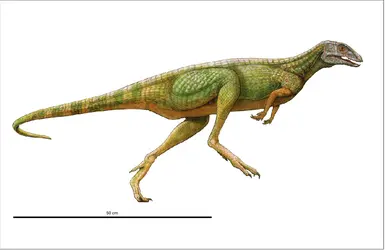 Lesothosaurus - crédits : Encyclopædia Universalis France