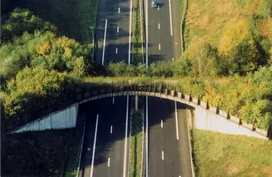 Passage à faune végétalisé sur l'A36 - crédits : J. Carsignol, CETE de l'Est