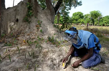 Opération de déminage au Sénégal - crédits : Seyllou Diallo/ AFP