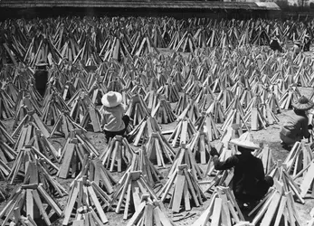 Production de crayons à Taïwan - crédits : Keystone/ Getty Images