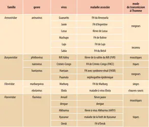 Principales fièvres hémorragiques virales - crédits : Encyclopædia Universalis France