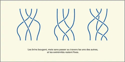 Isotopie de tresses géométriques - crédits : Encyclopædia Universalis France