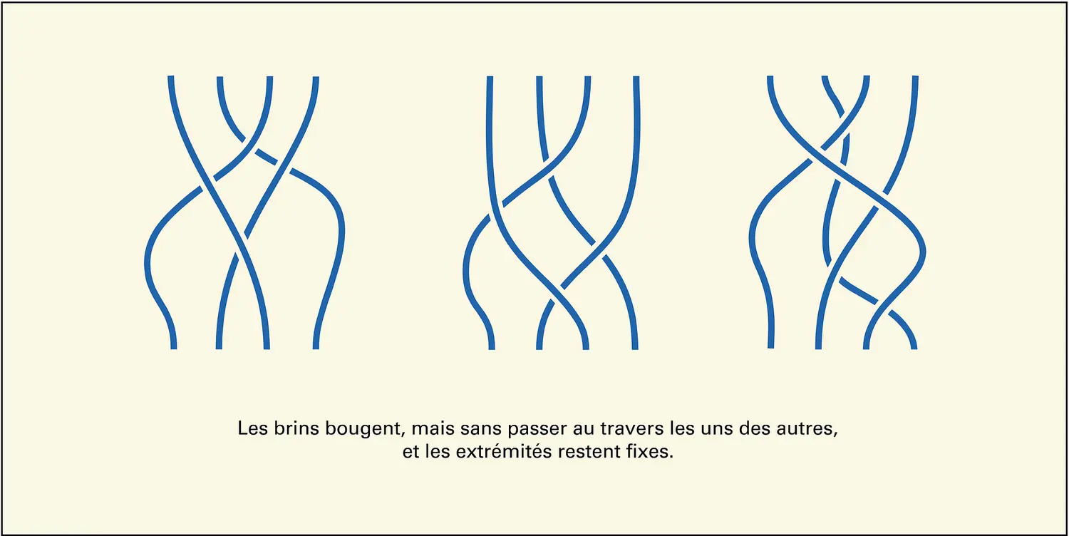 Isotopie de tresses géométriques