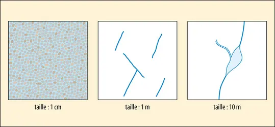 Vitesse d’infiltration de l’eau dans le sol - crédits : Encyclopædia Universalis France