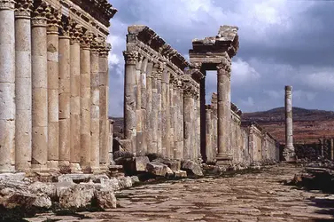 Avenue à portiques d'Apamée, Syrie - crédits : Louise Norton,  Bridgeman Images 